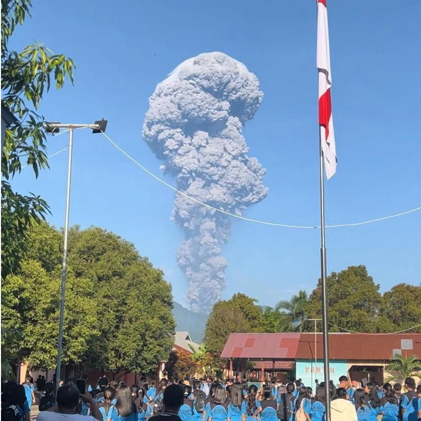 Image for cluster 4