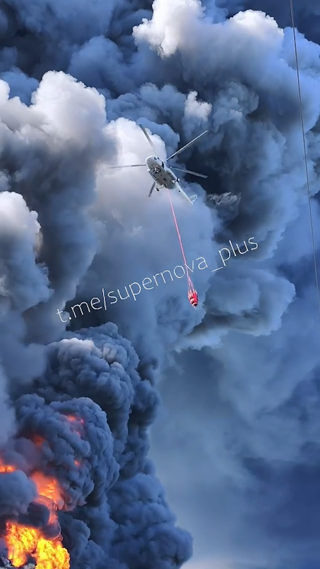 Image for cluster 1